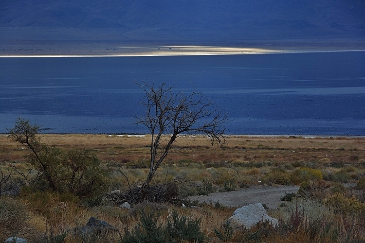 lake scene